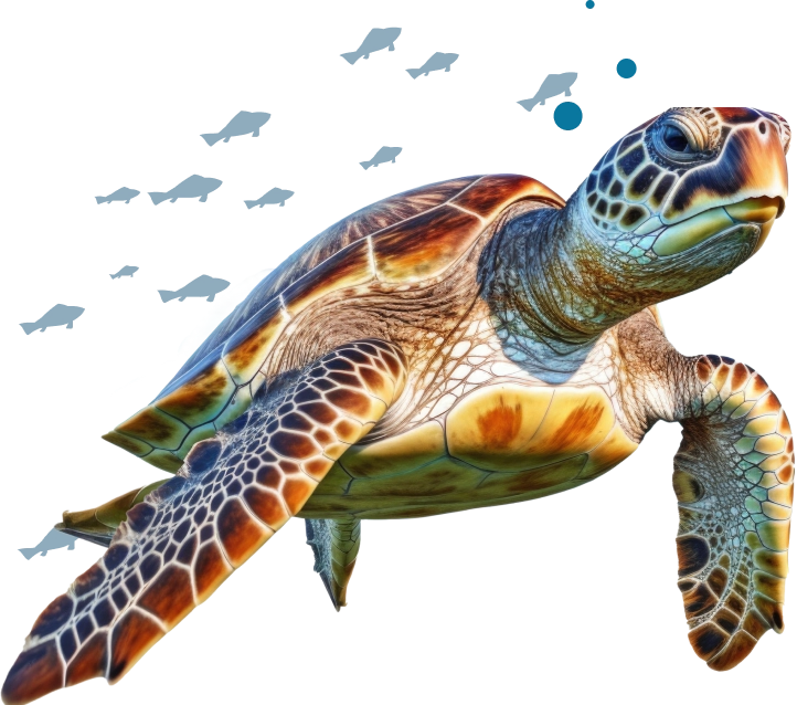 Oceanogami-turtle