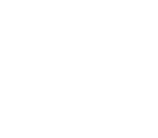 ESNID Logo