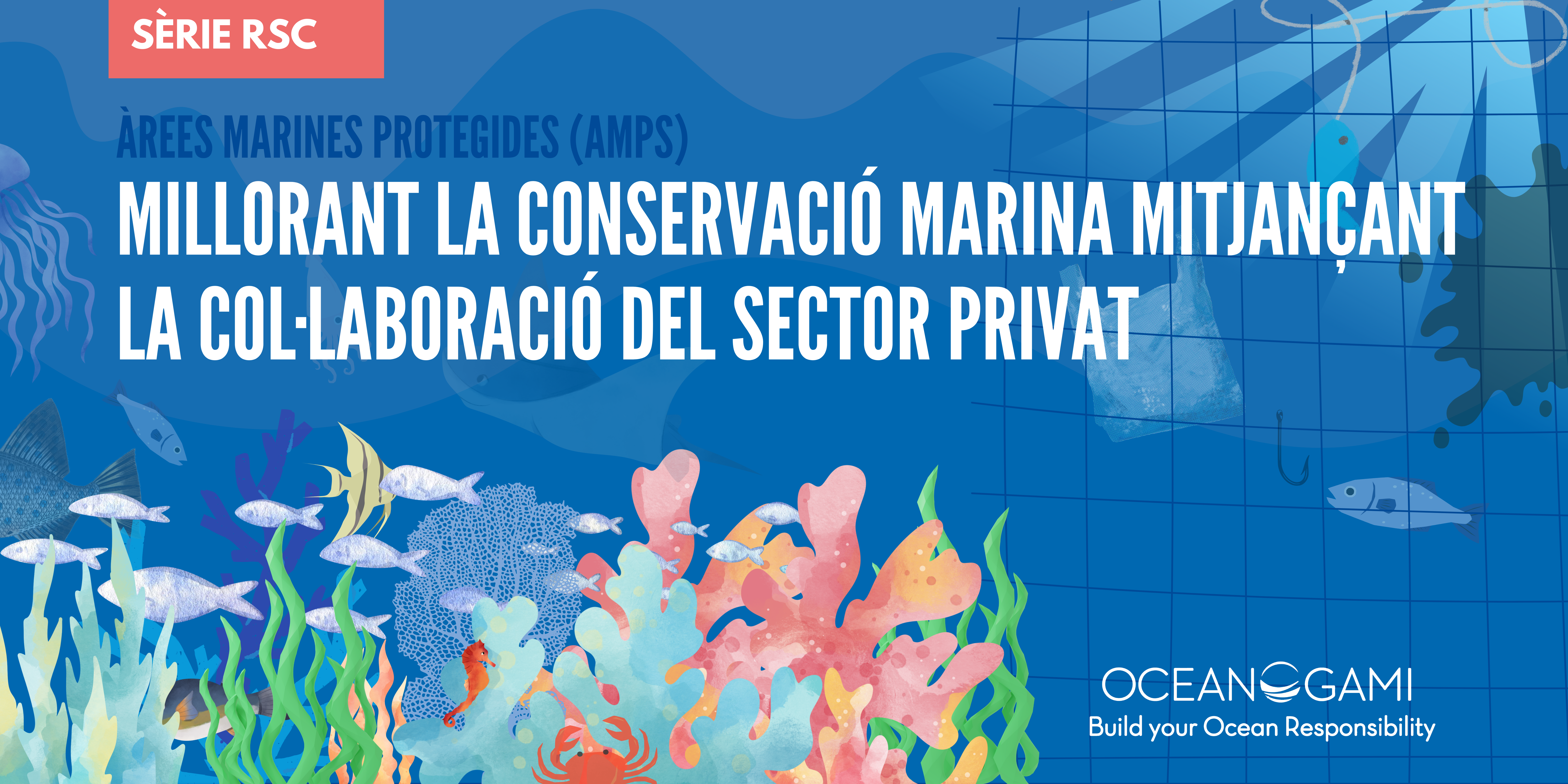 ÀreEs marines protegides (AMPs). Millorant la conservació marina mitjançant la col·laboració del sector privat